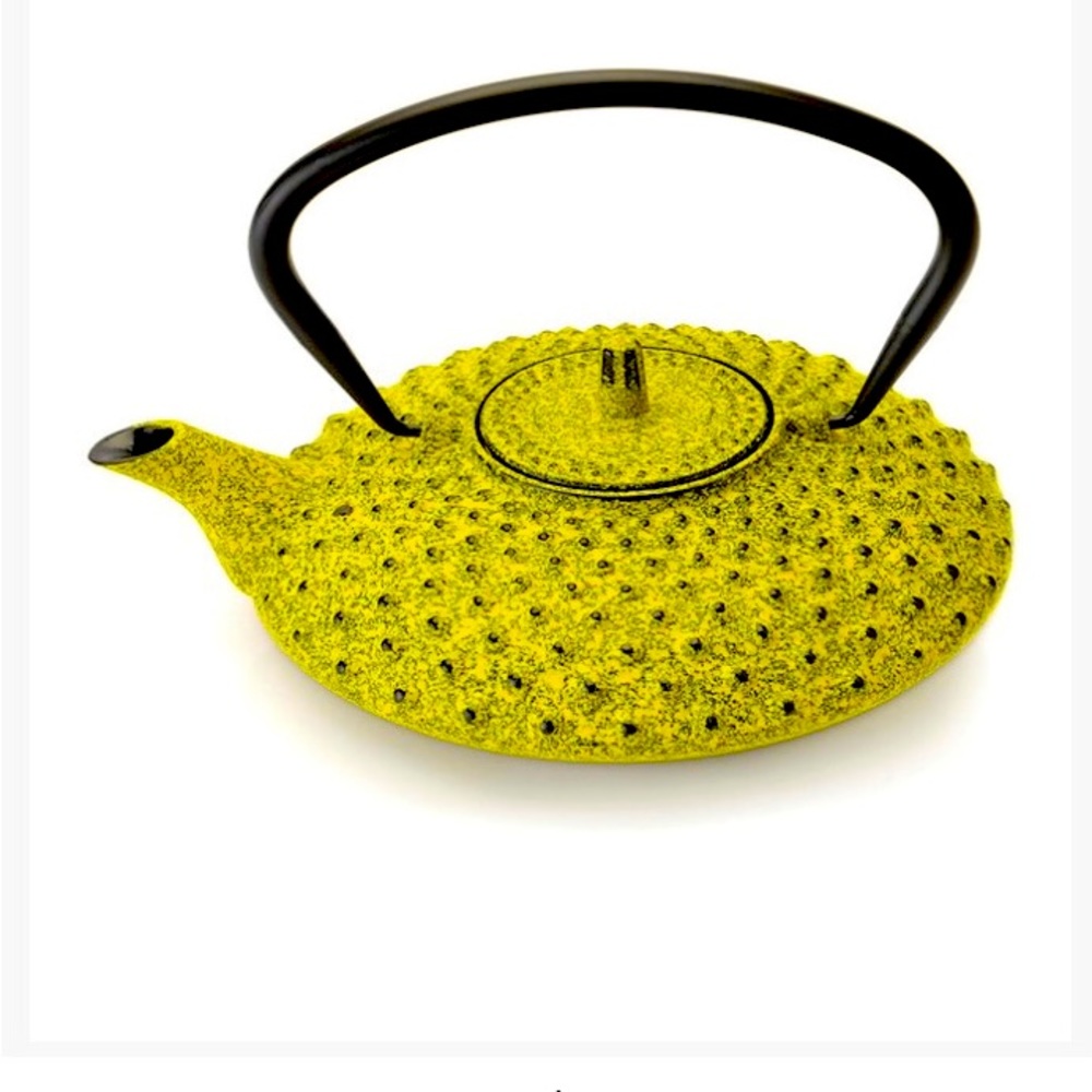 New and never used. Yellow Green BergHOFF Cast Iron Teapot / Kettle